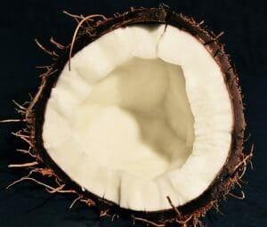 coconut-3015341_640