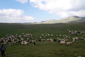 image-0-02-05-01eb94c0e512613f3f041f771cb7dcdca5e74eb87280b4992ad177947194726d-v