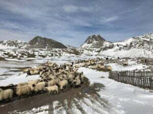 41723195_698125703908064_1908033165344112640_n