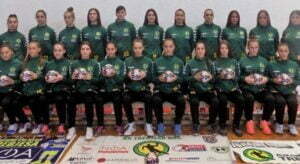 42858122_270056413841373_8379816854780116992_n