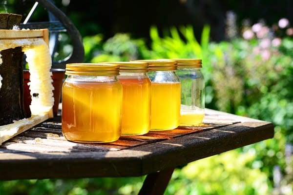honey-352205_960_720