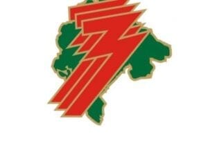 57b1b646-e5e0-42c9-b4cd-13410a0a0a69-logotip-zzzcg-preview