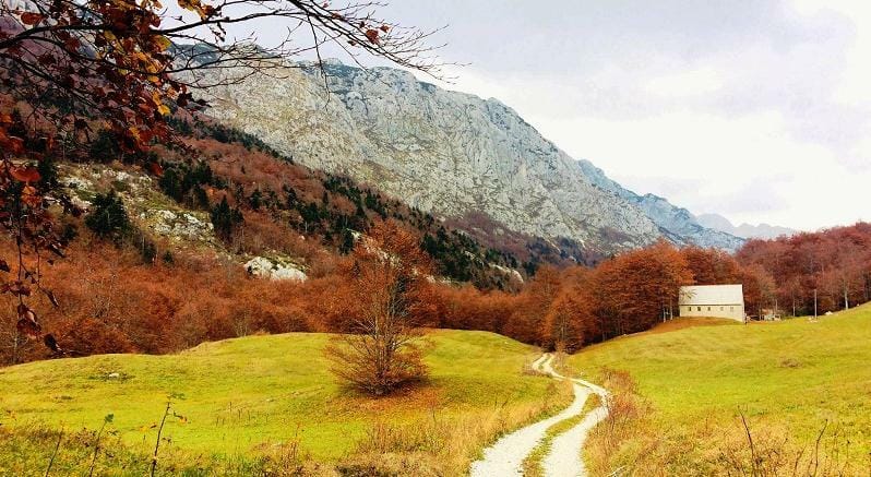 grabovica_ona_kuca