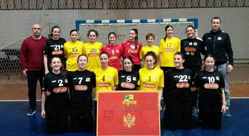 rk_levalea_2010