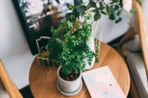 samule-sun-473504-unsplash