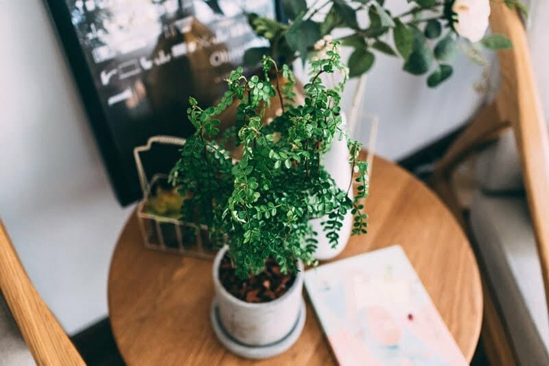 samule-sun-473504-unsplash