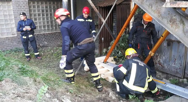 zemljotresi