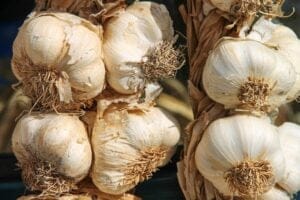 garlic-3747176_960_720
