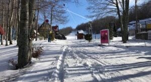 48374189_2480513465310374_7753458065784963072_n