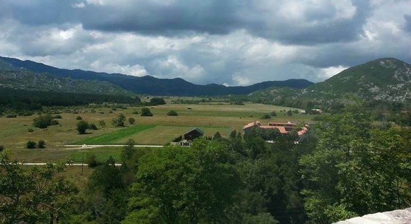 graovo