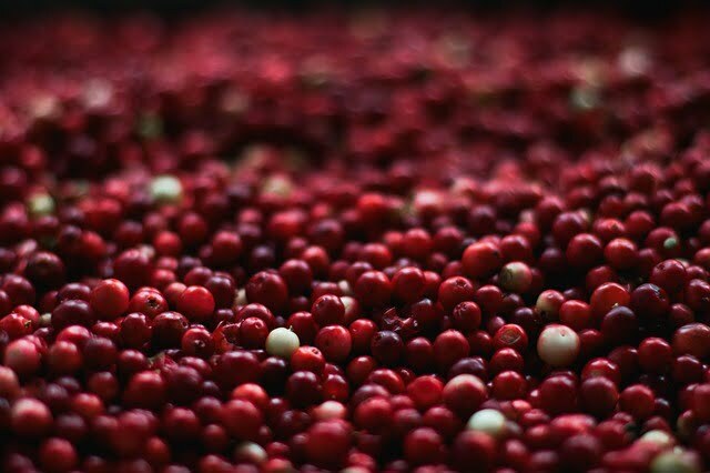 berries-1851161_640