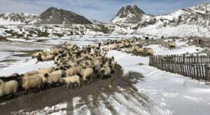 29019753_10211229943920060_774331353_n