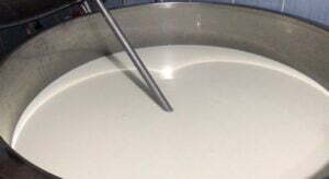 53728864_325010544683522_7191623008564281344_n