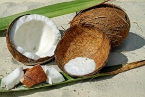 coconut-2637727_640