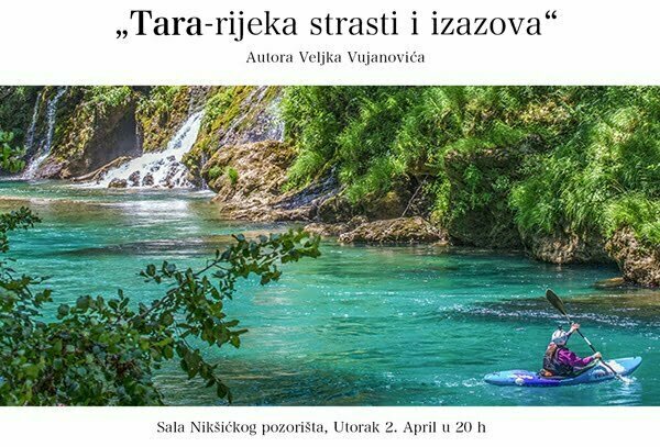 pozivnica