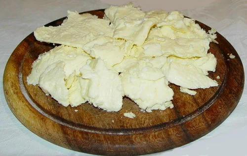 skorup_2