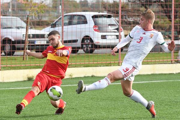 sokolici