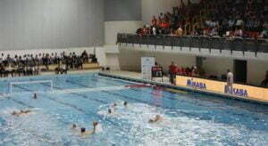 57174987_616480728817305_3592417067074060288_n