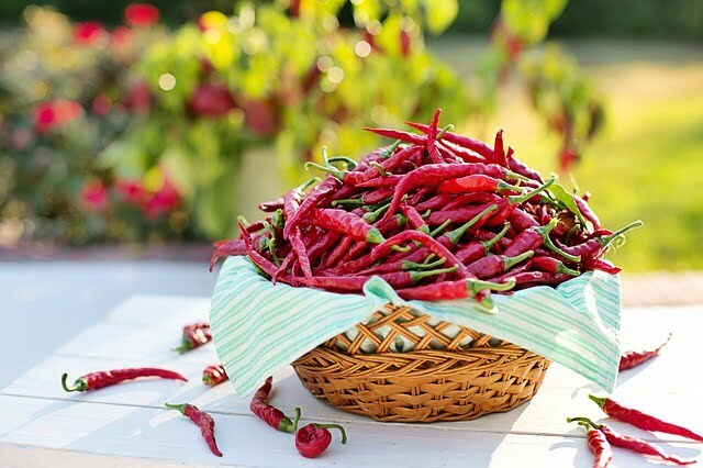 cayenne-peppers-2779828_640