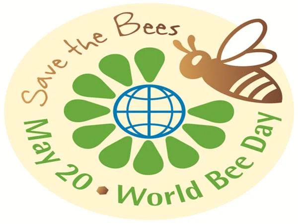 logo_wbd_ang