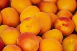 apricots-3433818_640