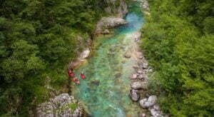 67327727_488971631852322_7139744244624785408_n