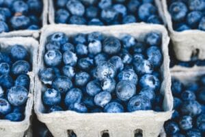 blueberry-1326154_960_720