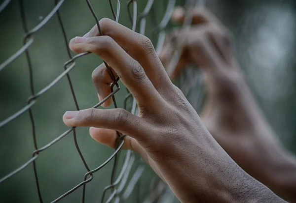 fence-2163951_960_720