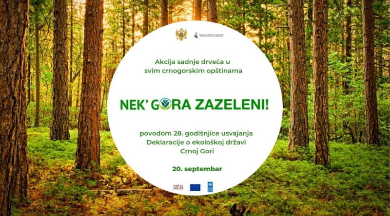 nek-gora-zazeleni-final-1000x555