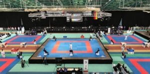 5a74bb1a-d968-4efa-a383-371f0a0a0a64-karate2-previeworg