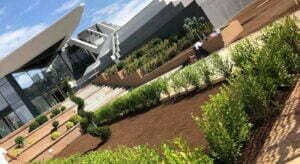 72486223_2445505632362656_1084293768372289536_n