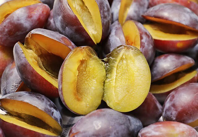 plums-3641844_640