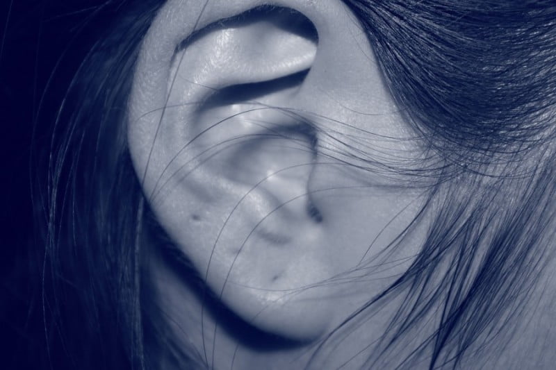 ear-207405_1280