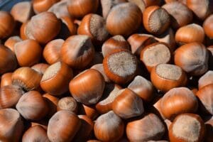 hazelnut-3783066_640