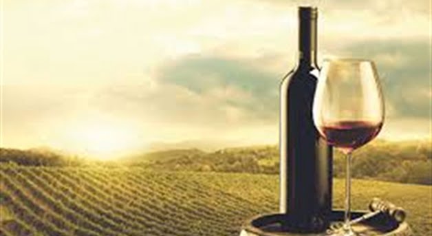 vino_1
