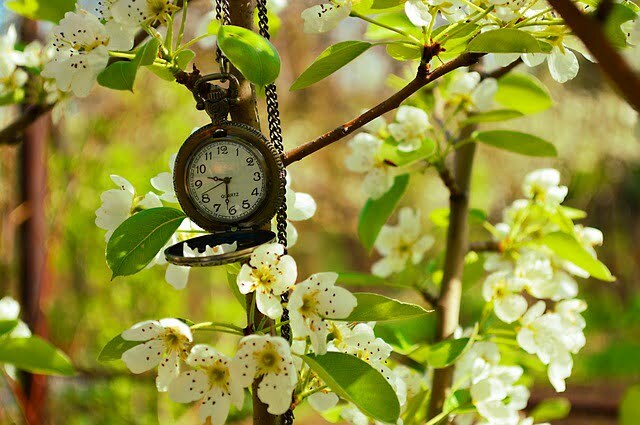 clock-4154090_640