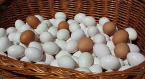 94392736_644212036422314_5714716422714687488_o