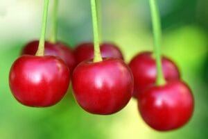 cherries-3477927_640