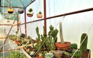 preduzece_herbs_and_clay