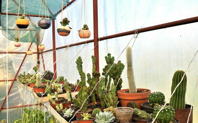 preduzece_herbs_and_clay