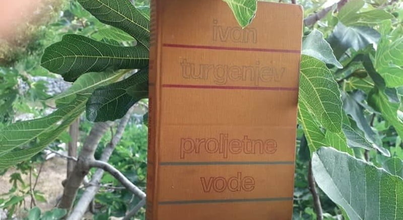 116335477_314583406583323_5361792043622108625_n