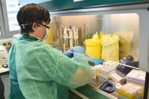 49964892552_cc23e8c9c5_c