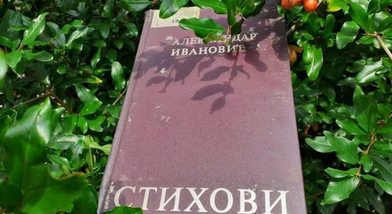 image1_10