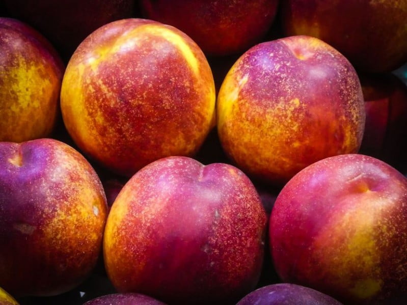 fruit-27715211920-830x0