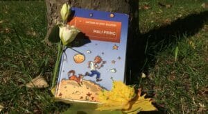 mali_princ_slika