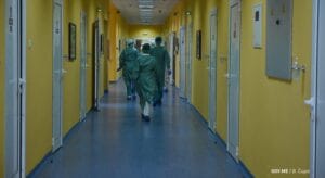 49827361298_c8ceee185f_c