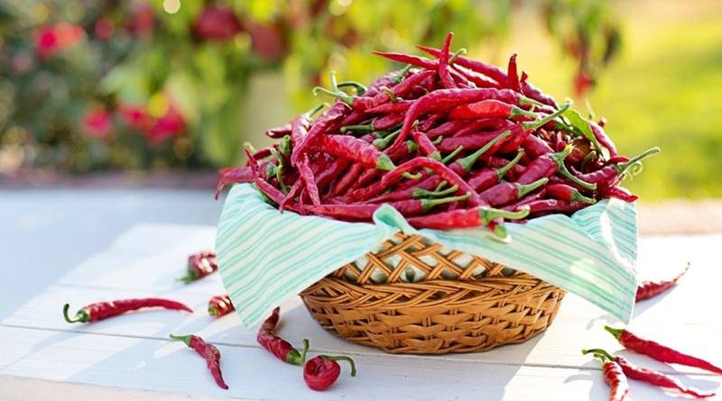 cayenne-peppers-2779828_1280