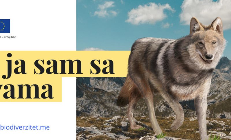 5276379_kampanja-i-ja-sam-sa-vama_ls
