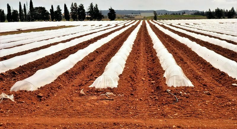 agro-industry-3299175_960_720