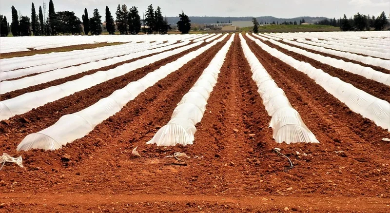 agro-industry-3299175_960_720
